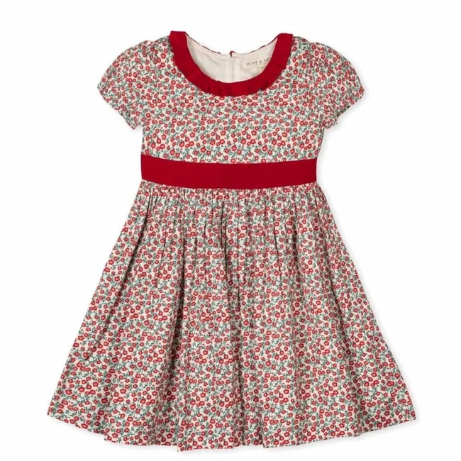 Ruffle Collar Sateen Dress (Organic Cotton)