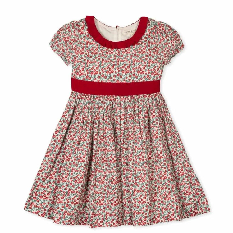 Ruffle Collar Sateen Dress (Organic Cotton)
