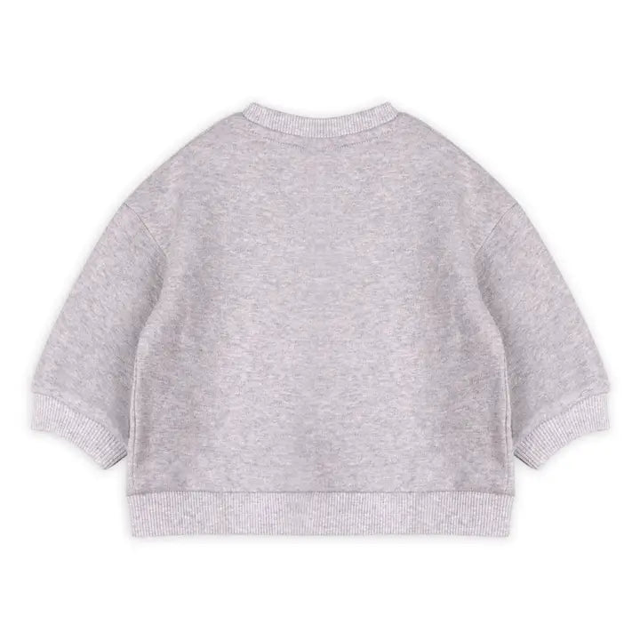 Organic Dinosaur Baby Sweatshirt & Jogger Set – Heather Grey | Olive Sprout Kids