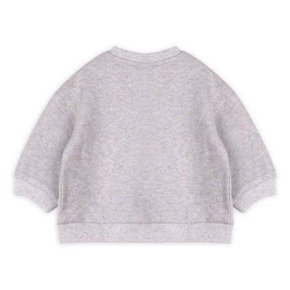 Organic Dinosaur Baby Sweatshirt & Jogger Set – Heather Grey | Olive Sprout Kids