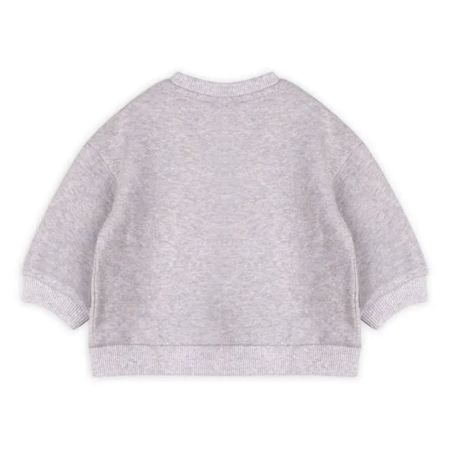 Dino Baby Sweatshirt & Jogger Set – Organic Cotton featuring dinosaur print for baby outfits