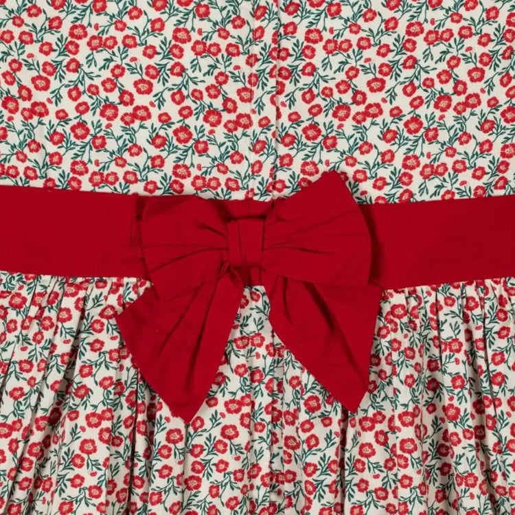 Ruffle Collar Sateen Dress (Organic Cotton) toddler holiday formalwear