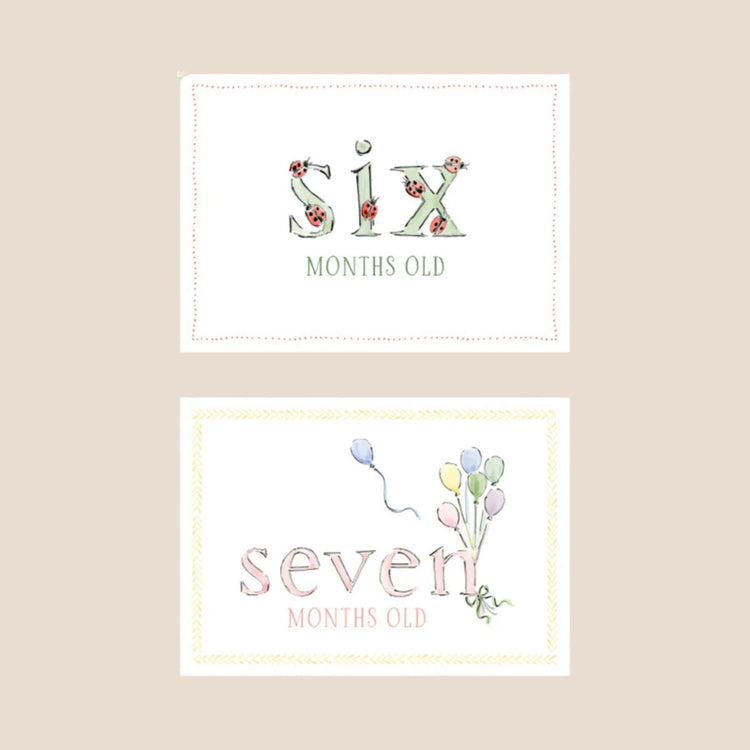 
                    
                      Zoo Animal Baby Monthly Milestone Cards
                    
                  