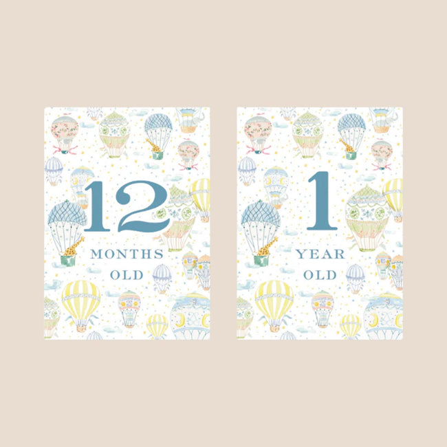 Hot Air Balloon Baby Monthly Milestone Cards