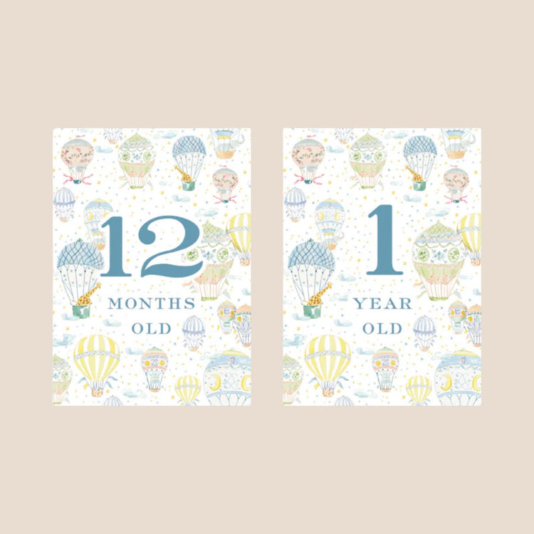 
                    
                      Hot Air Balloon Baby Monthly Milestone Cards
                    
                  