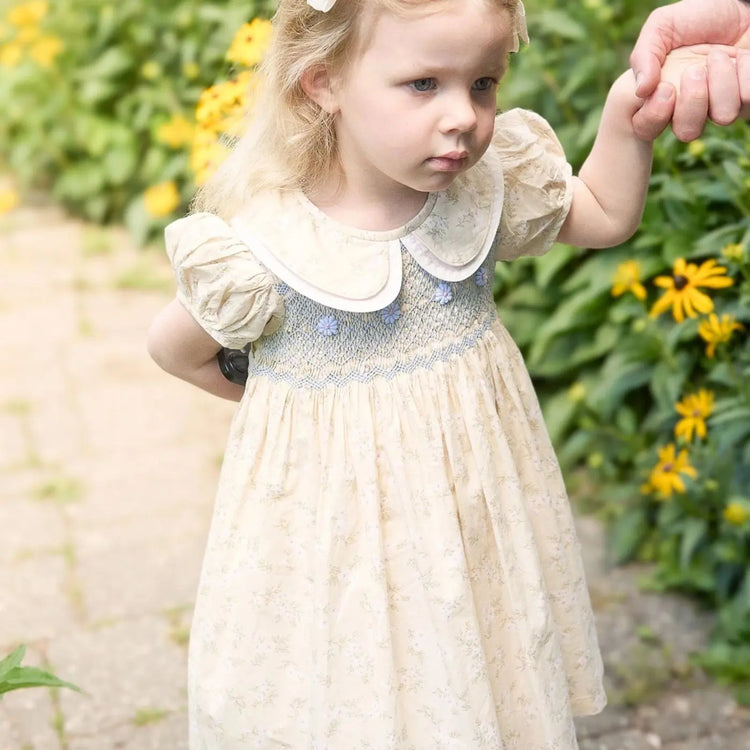 
                    
                      Girls toddler Yellow Floral Smocked Dress, Rose Embroidery | Lesavan
                    
                  