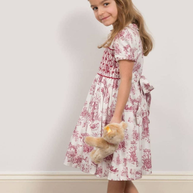 
                    
                      Philomena Smocked Toile de Jouy Dress for toddler girls
                    
                  