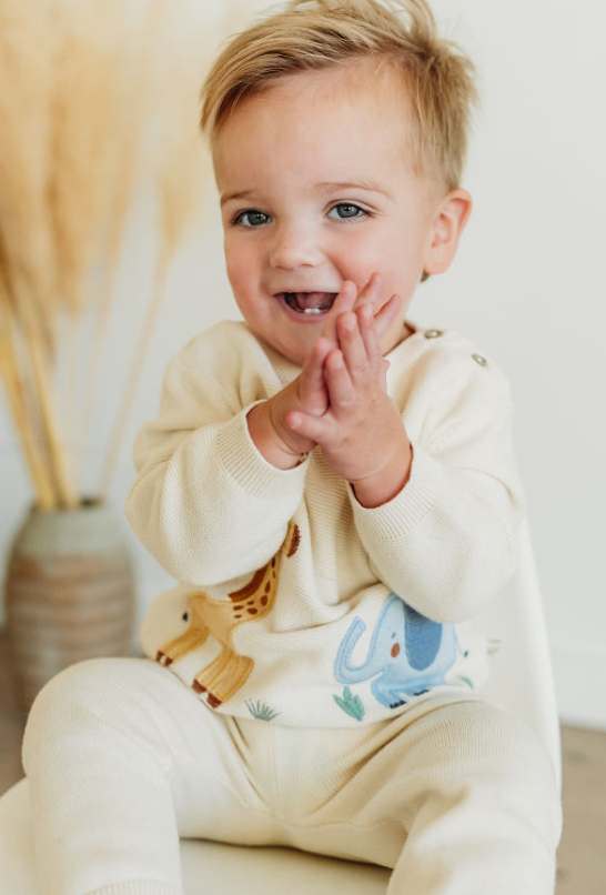 Organic Safari Animals Baby Pullover Sweater  for babies