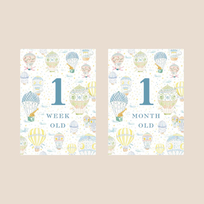 Hot Air Balloon Baby Monthly Milestone Cards
