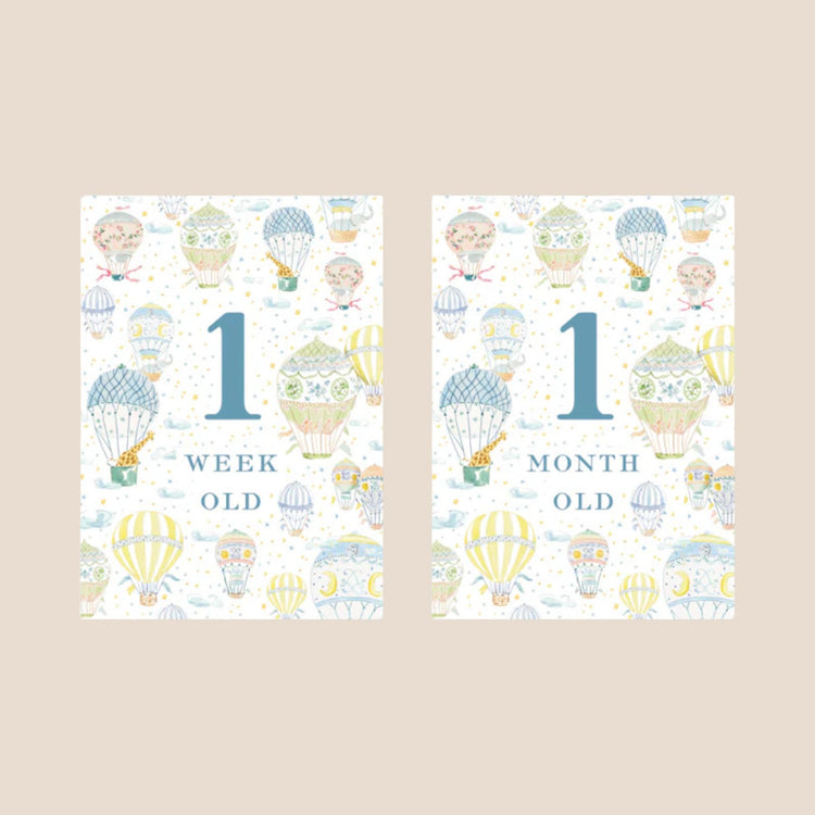 Hot Air Balloon Baby Monthly Milestone Cards