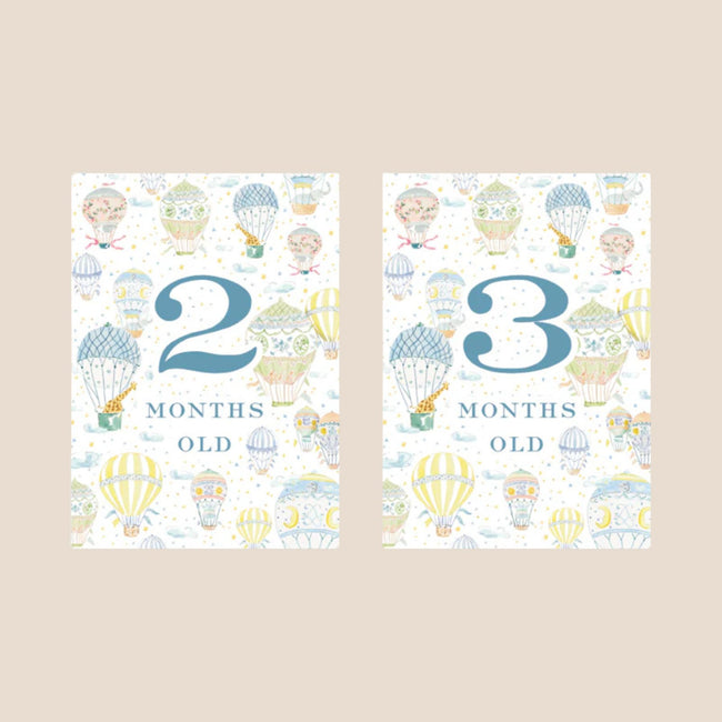 Hot Air Balloon Baby Monthly Milestone Cards