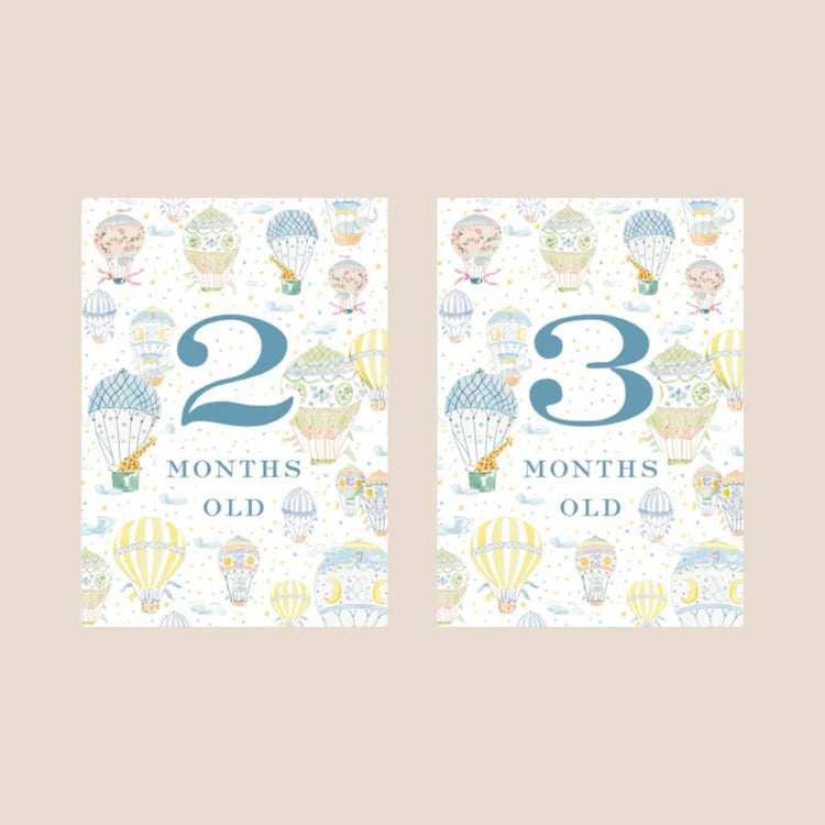 
                    
                      Hot Air Balloon Baby Monthly Milestone Cards
                    
                  