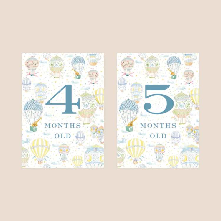 
                    
                      Hot Air Balloon Baby Monthly Milestone Cards
                    
                  