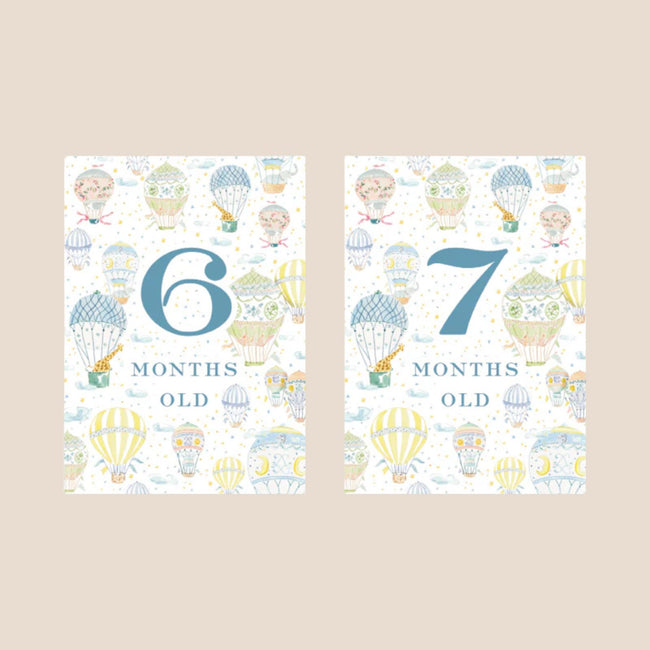 Hot Air Balloon Baby Monthly Milestone Cards
