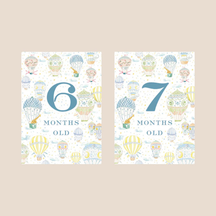 
                    
                      Hot Air Balloon Baby Monthly Milestone Cards
                    
                  