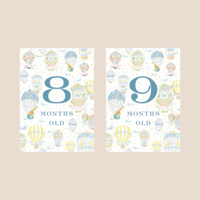 Hot Air Balloon Baby Monthly Milestone Cards