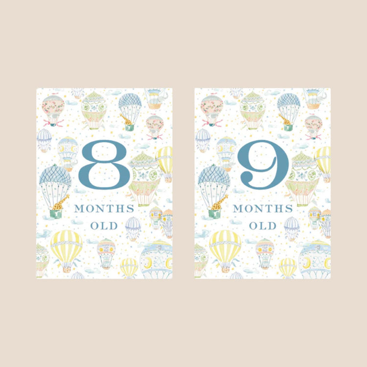 
                    
                      Hot Air Balloon Baby Monthly Milestone Cards
                    
                  