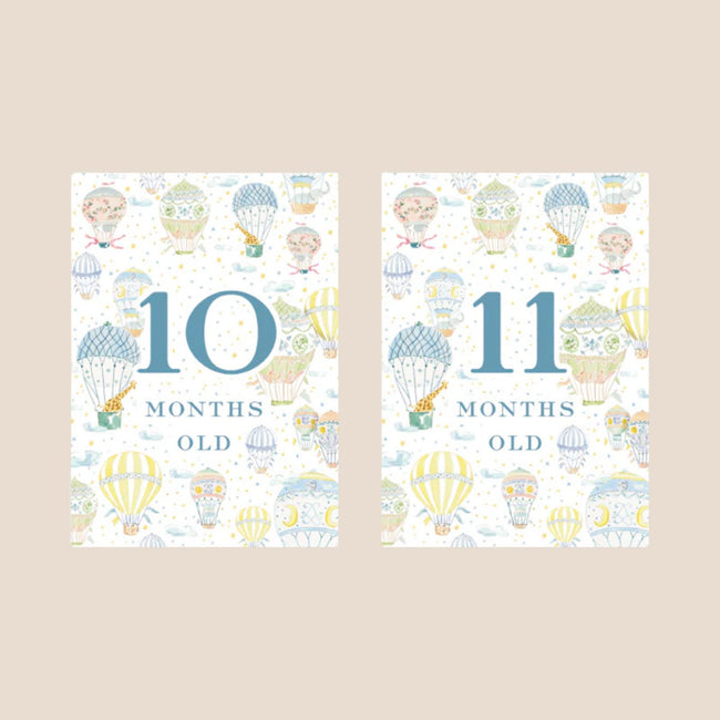 Hot Air Balloon Baby Monthly Milestone Cards