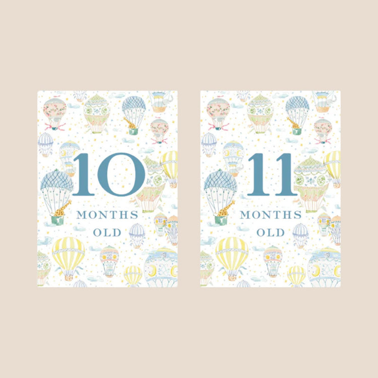 
                    
                      Hot Air Balloon Baby Monthly Milestone Cards
                    
                  
