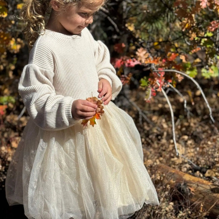 
                    
                      Vignette Birdie Dress, oatmeal knit and tulle toddler dress, view 3
                    
                  