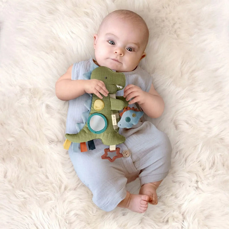 
                    
                      Bitzy Traveler Sensory Toy (Dinosaur), Itzy Ritzy plush dinosaur car seat and stroller toy with crinkle, jingle, and peek-a-boo features
                    
                  