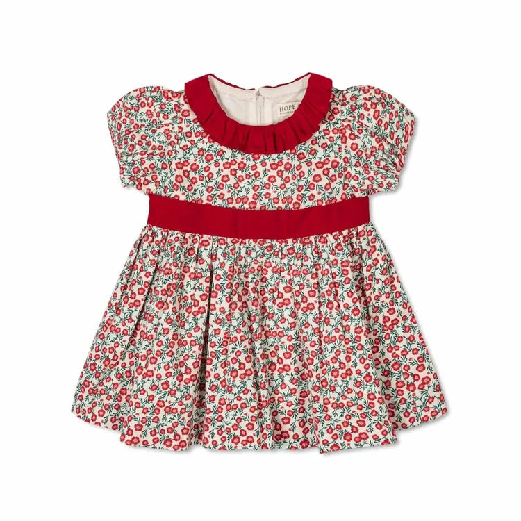 Baby Girl Ruffle Collar Sateen Dress (Organic Cotton)