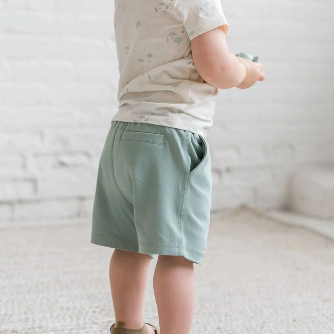 The Dane Shorts styled as casual organic shorts for toddler boys, Jade Organic Cotton Shorts for Toddlers | Colored Organics
