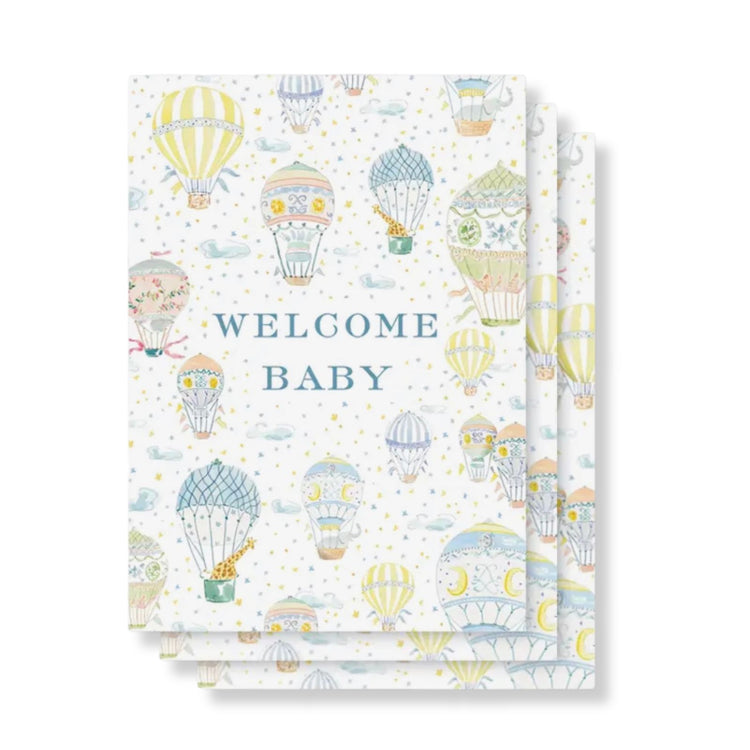 Hot Air Balloon Baby Monthly Milestone Cards