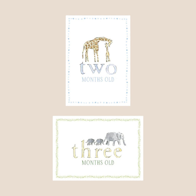 Zoo Animal Baby Monthly Milestone Cards