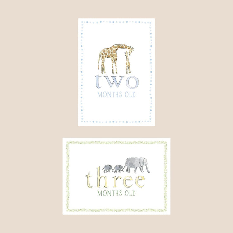 
                    
                      Zoo Animal Baby Monthly Milestone Cards
                    
                  