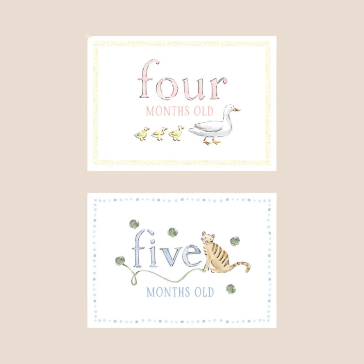 
                    
                      Zoo Animal Baby Monthly Milestone Cards
                    
                  
