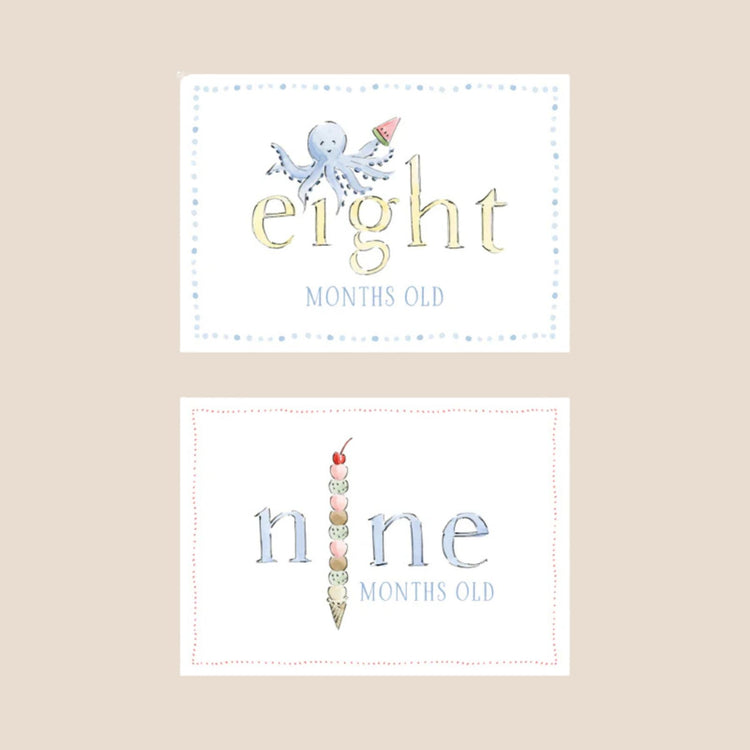 
                    
                      Zoo Animal Baby Monthly Milestone Cards
                    
                  