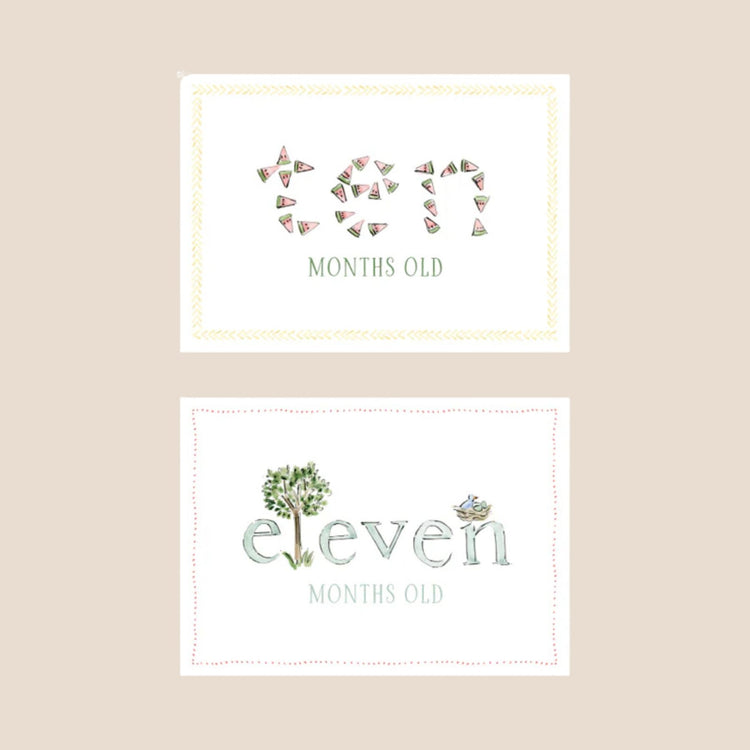 
                    
                      Zoo Animal Baby Monthly Milestone Cards
                    
                  