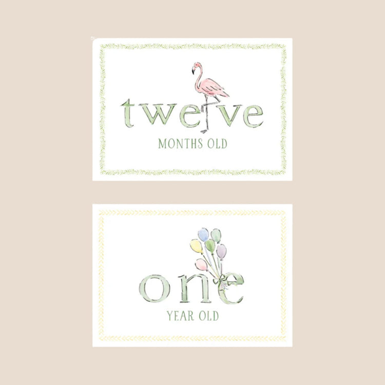 
                    
                      Zoo Animal Baby Monthly Milestone Cards
                    
                  
